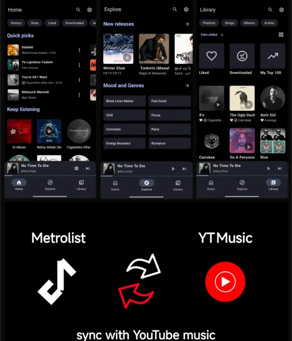 Giao diện chính Metrolist APK